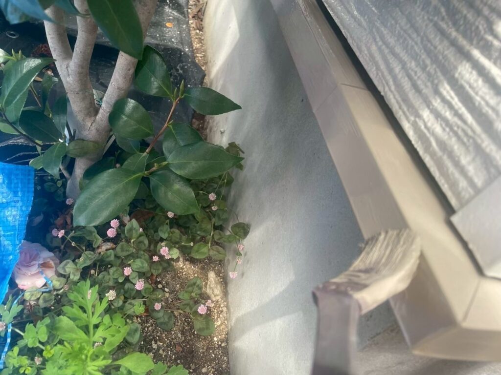 水切り仕上げ２回目